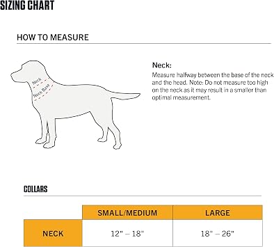 Carhartt Nylon Webbing Dog Collar, Fully Adjustable W/Durable Side Release Buckle and Reflective Stitching, Shaded Spruce, Large