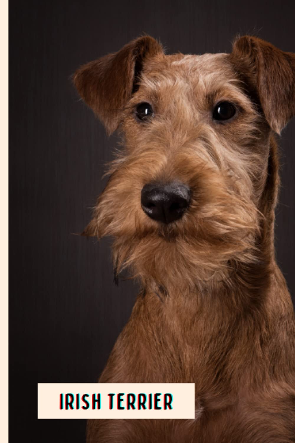 Irish Terrier: Perfect Irish Terrier Journal for Memories And Notes , Irish Terrier Notebook ( 110 Pages, 6x9 )