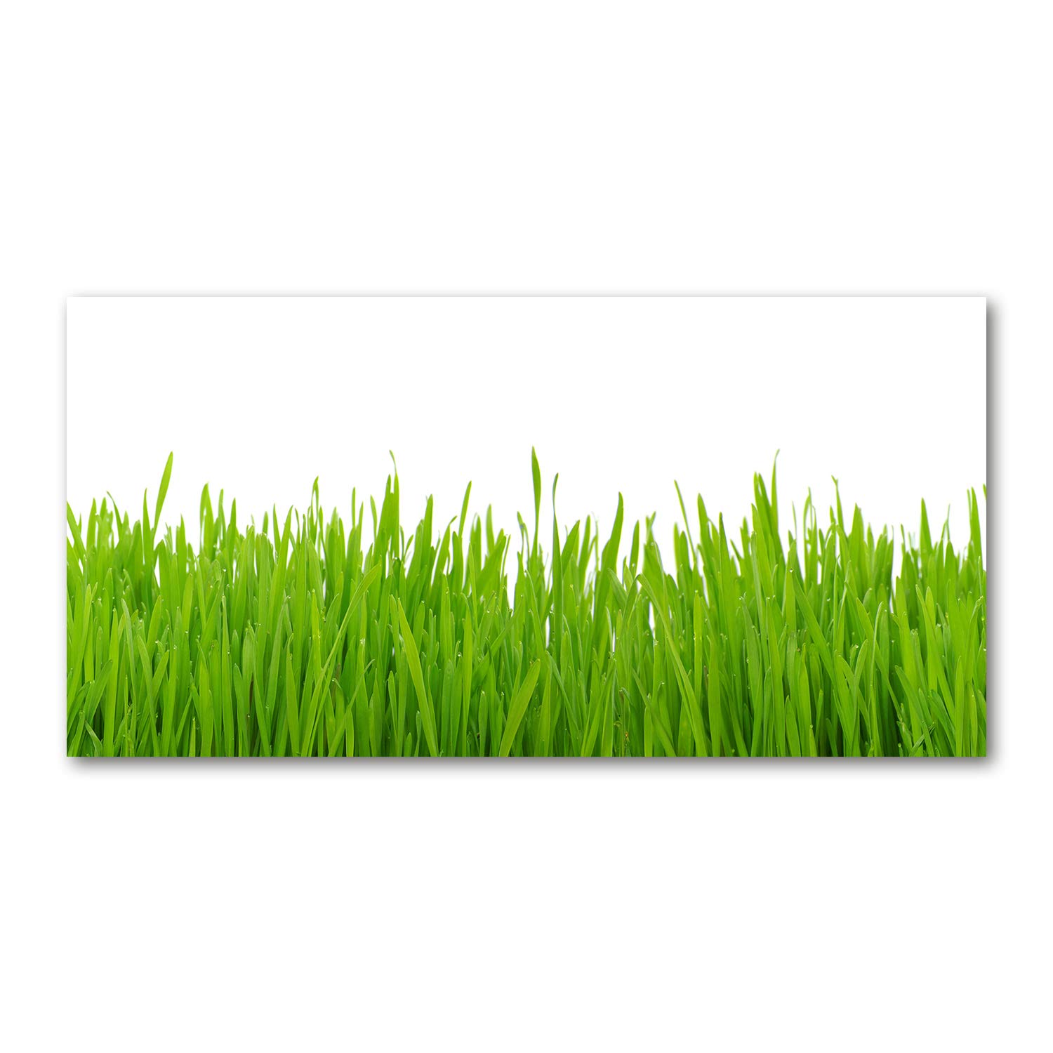 Impression sur verre fleurs et plantes : sublimez votre salon avec l'herbe