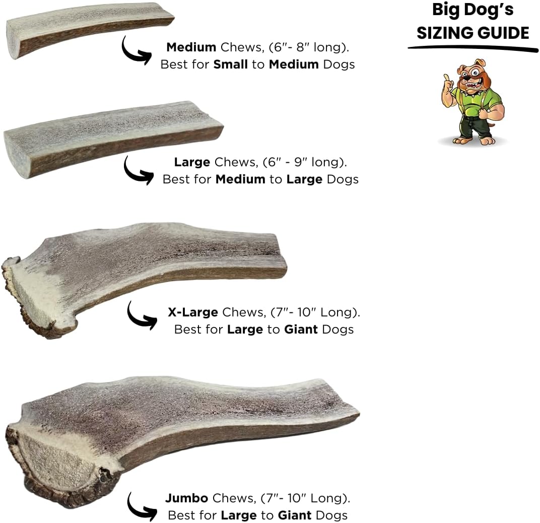 Big Dog Antler Chews for Dogs - Organic, Naturally Shed, Jumbo Split Elk 1 Pack, (for Dogs 70+ lbs), Premium A-Grade Elk Antler