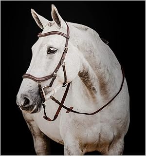 Horseware Ireland Micklem DeluxeComp w/reins, Color: Dark Havana, Size: Pony (SBMUM2-NAB0-PY)