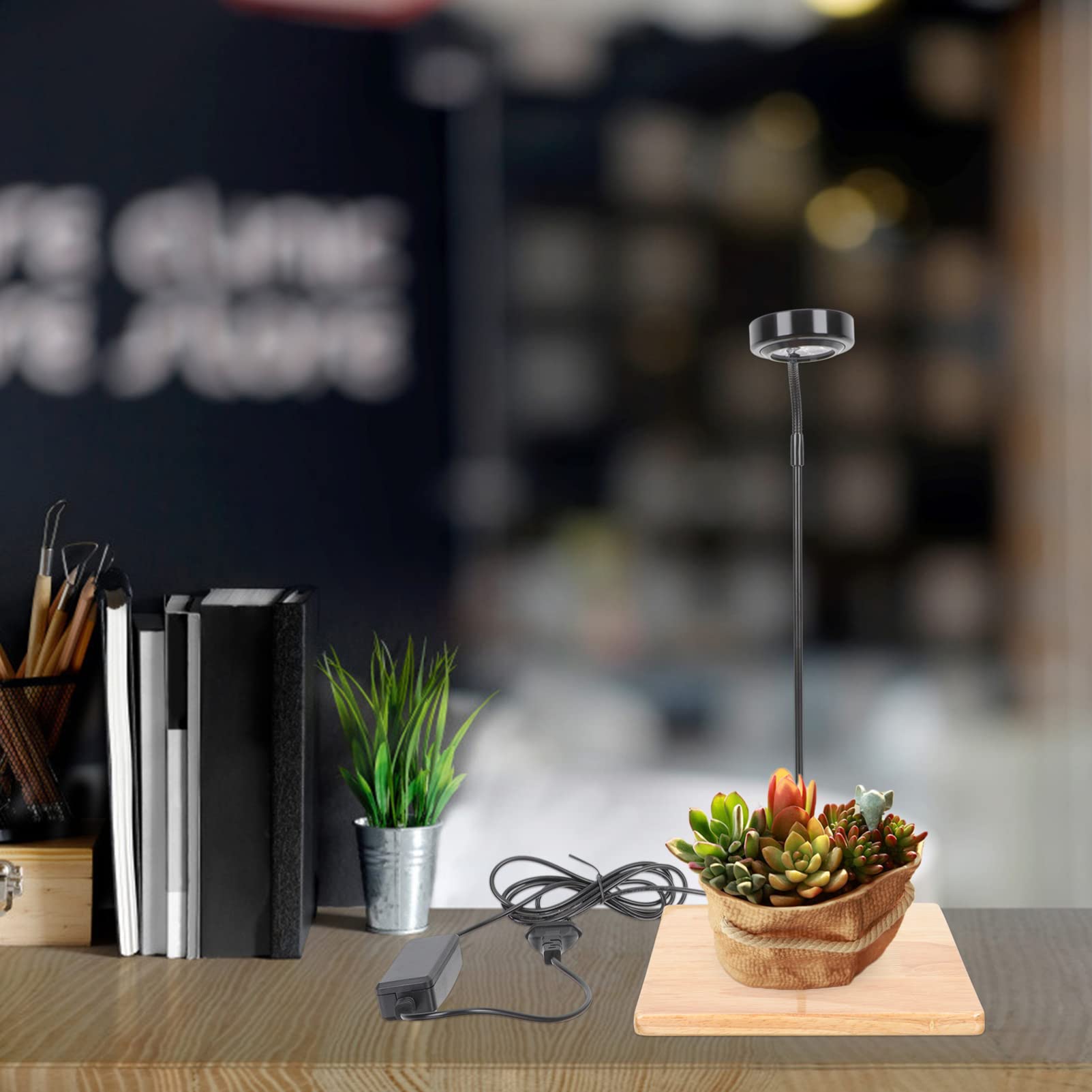 BESPORTBLE Luz Led Para Peceras Base De Madera Lámpara Acuario 3w Ideal Para Plantas Acuáticas