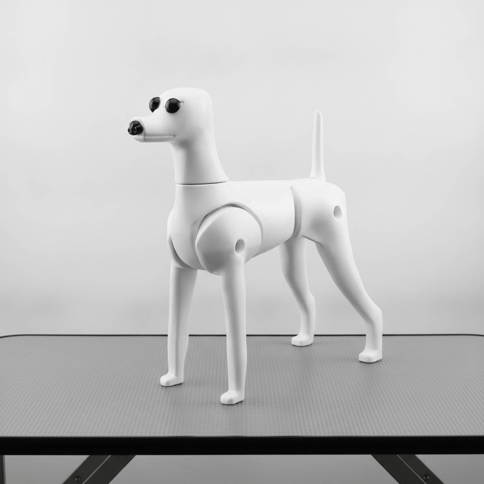 Mannequin de Toilettage Canin Mannequin Chien Modèle d'Entraînement Figurine Articulée Squelette Réglable Matériau Robuste Adapté aux Démonstrations , Style to 3