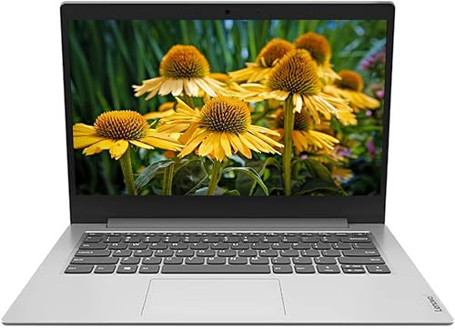 Lenovo IdeaPad 1, portátil de 14", Full HD (1920 x 1080), AMD Athlon Silver 3050e Dual-core (2 Core) 1.40 GHz, 4 GB RAM, 128 GB SSD, Windows 11