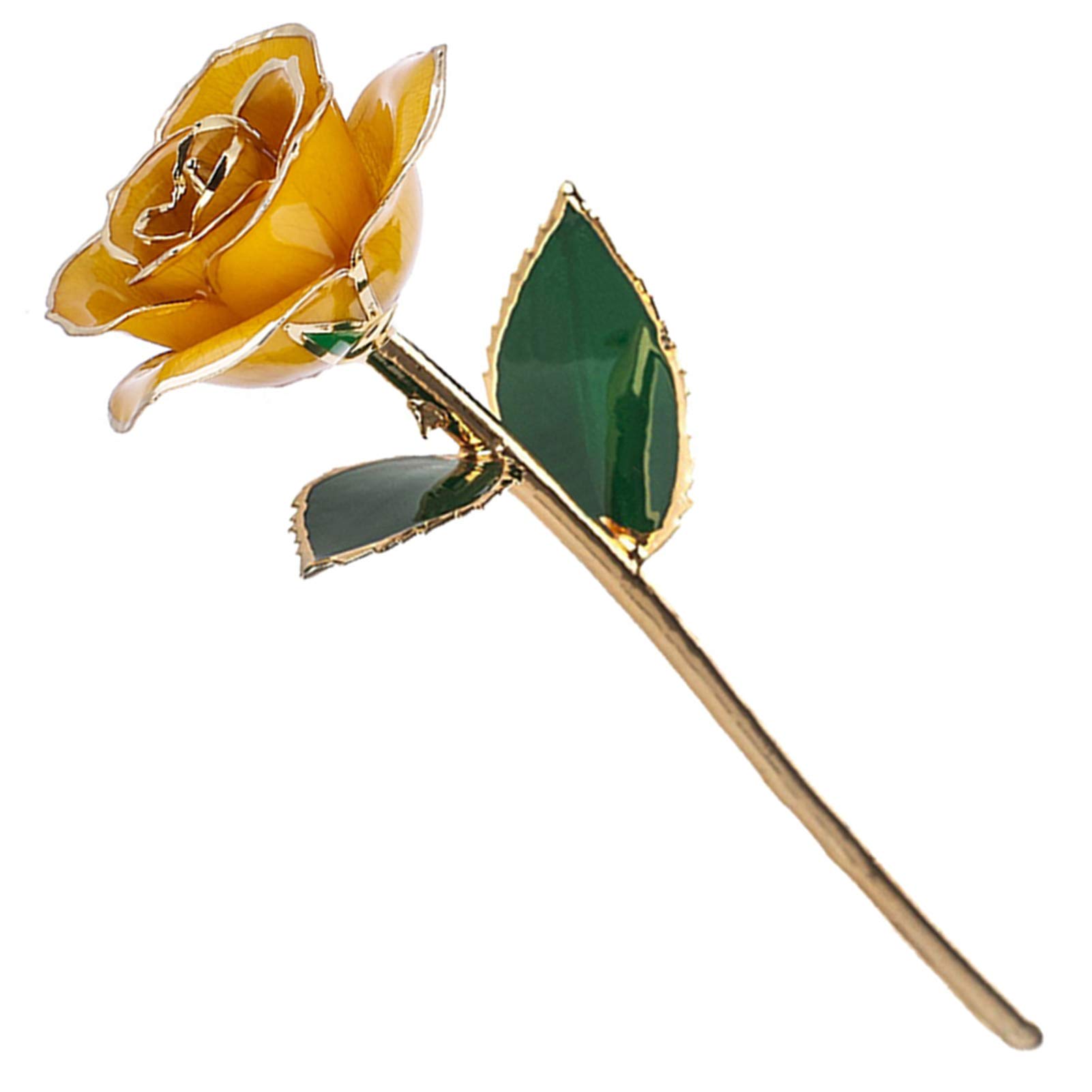Dilwe 24K Goldbeschichtete Rose, Natürliche Form und Basis