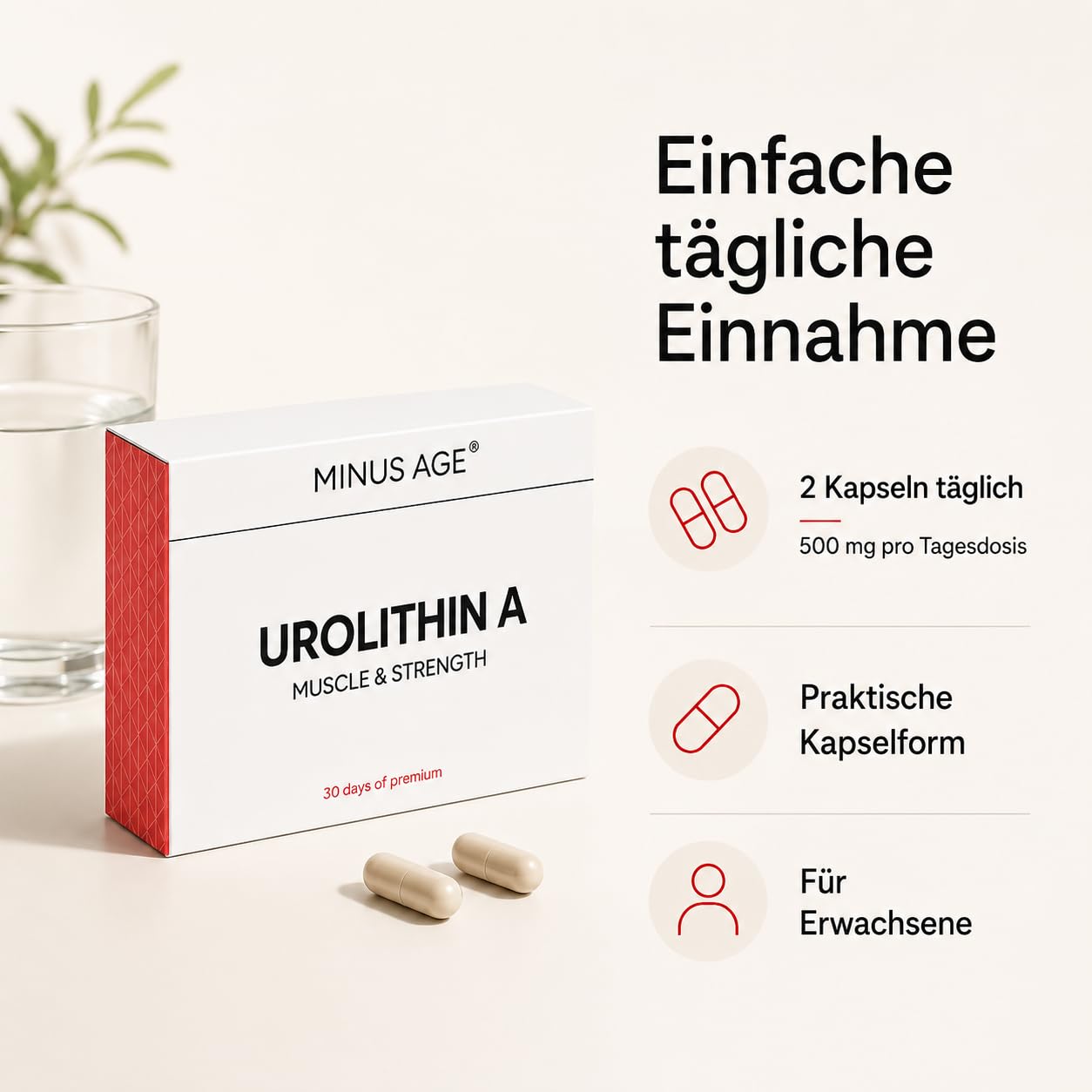 Urolithin A Kapseln 500 mg, 60 vegane Kapseln | Nahrungsergänzungsmittel, glutenfrei, laborgeprüft