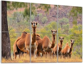 Art Acoustic Panels Self Adhesive Northern Territory Australian feral dromedary camel 6 Packs Decorative Soundproof Wall Panels Large Sound Absorbing Panels for Home Office 48"x72"