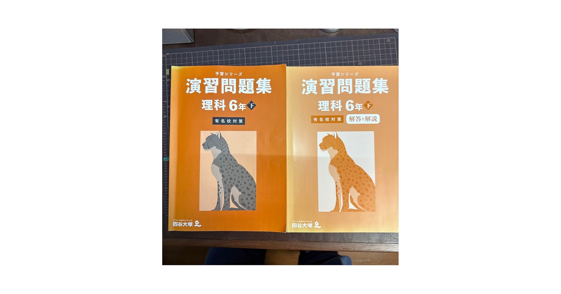 Amazon | 演習問題集 理科 6年下 四谷大塚予習シリーズ2025 | 化学