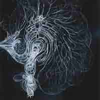 中古 BOLA - SOUP 2LP 2025年最新】bola soupの人気アイテム - メルカリ