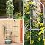 Garden Trellis for Climbing Plants, Rustproof Metal Pipe with Heavy Duty 6ft, Garden Outdoor Indoor Potted Plant Support?White?