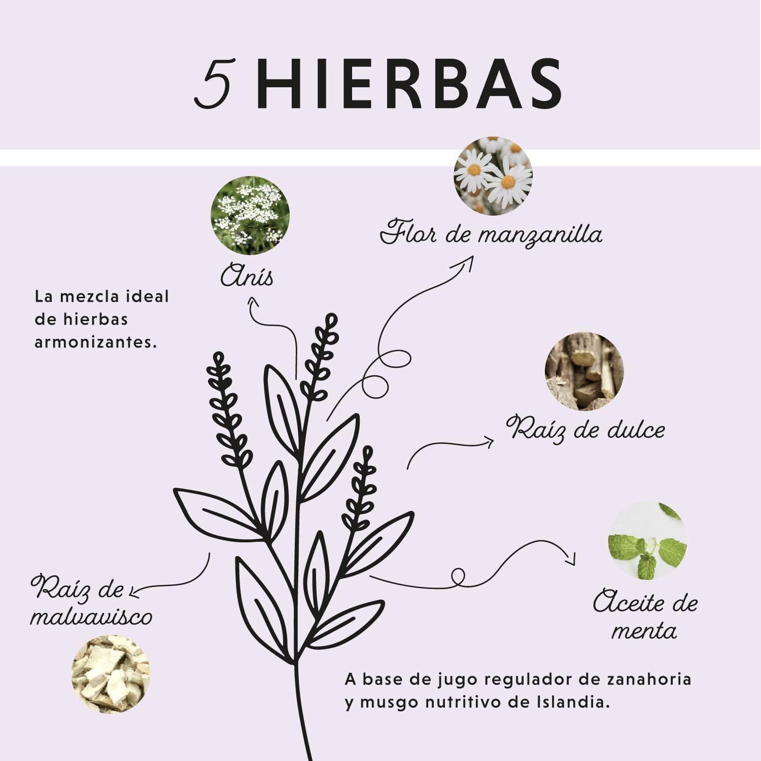 Líquido gastrointestinal para Caballos 1000 ml - Gastro Colon Vital para apoyar la digestión, por Ejemplo en Caso de diarrea - Hierbas Naturales para el estómago de los Caballos.