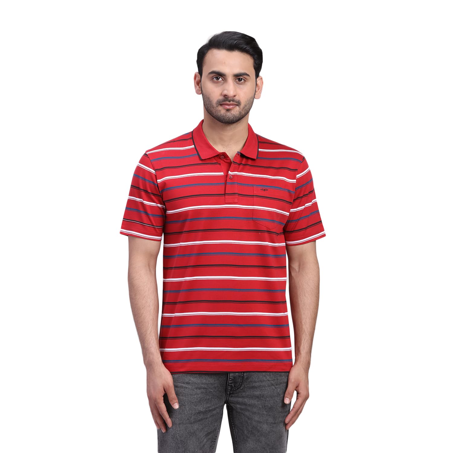 colorplus Men Comfort Fit Stripe Pattern Pure Cotton Half Sleeve Normal Neck Casual T-Shirt-picture-39
