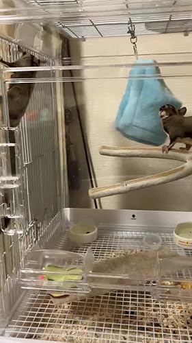 Amazon | Sanko C78 EZHクリアモモンガ40WH | Sanko