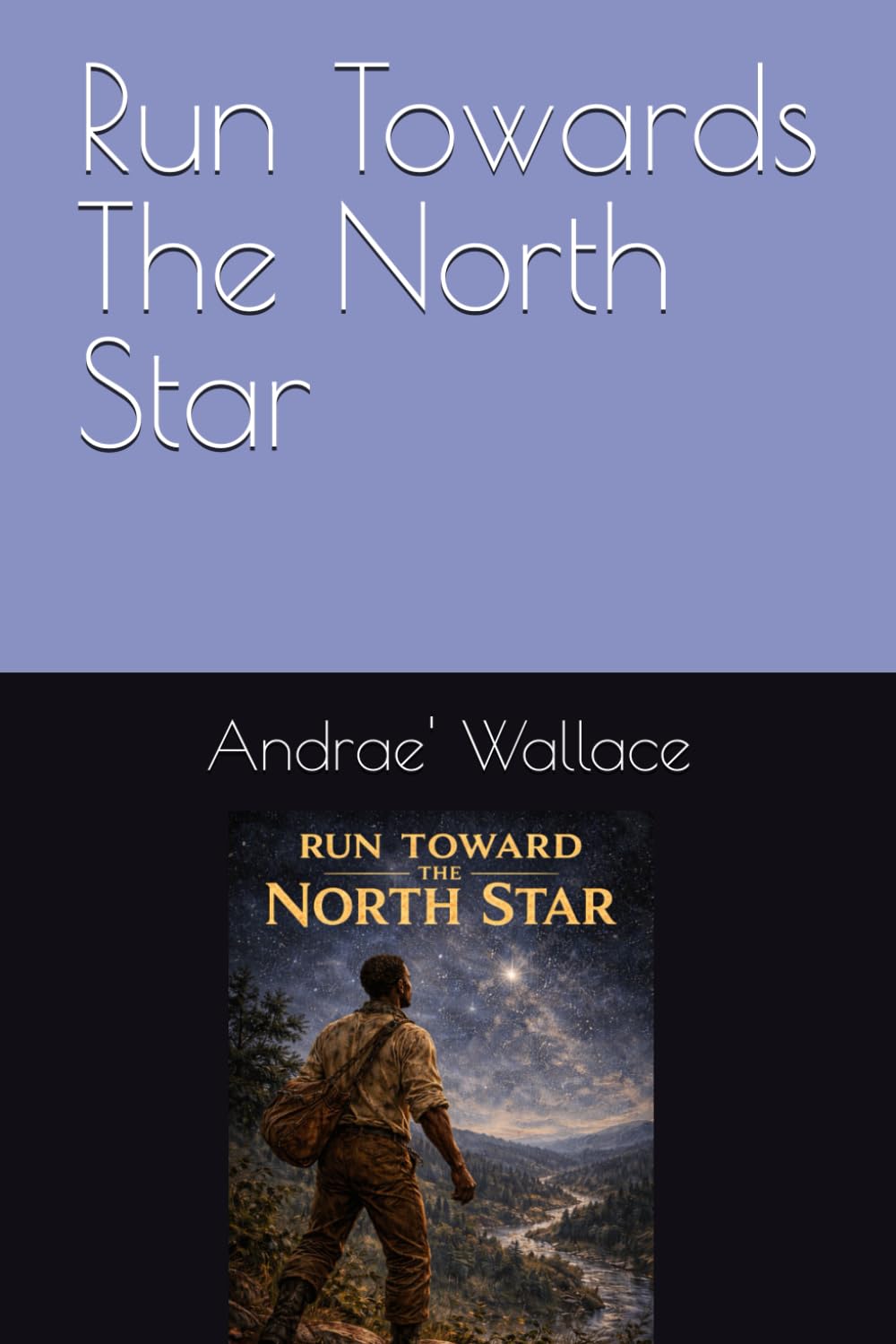 Run Towards The North Star