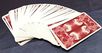 新品TAROT OF THE ANIMAL LORDSタロット＊ オラクルカード Amazon.co.jp: スピリット オブ アニマル オラクル Spirit of