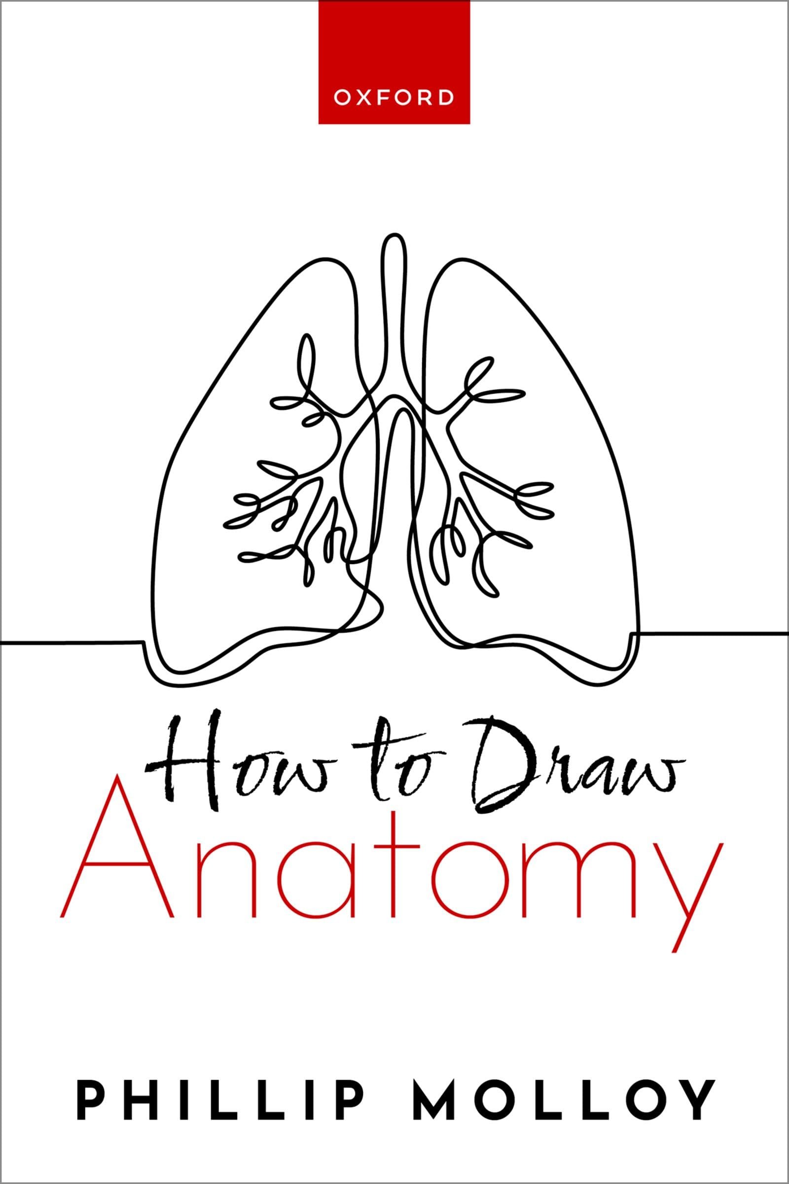 How To Draw Anatomy