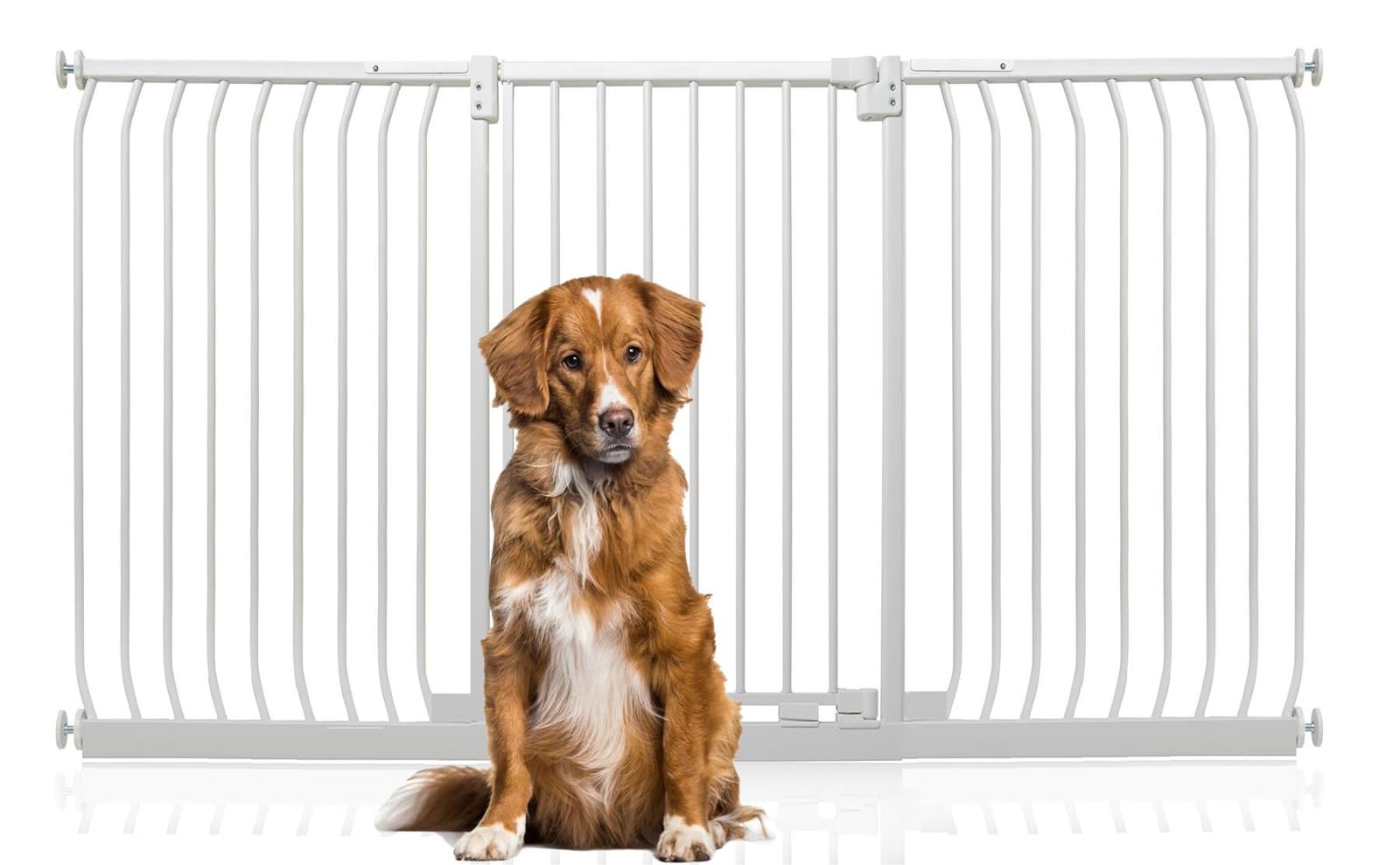 Bettacare Extra Tall Elite Dog Gate197Cm206CmMatt WhiteExtra Tall 96.8Cm In HeightPressure Fit Pet Gate from B&Q
