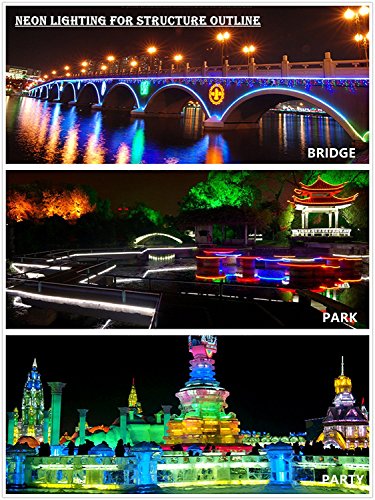 Iekov Led Neon Light, Ac 110-120V Flexible Rgb Led Neon Light Strip, 60 Leds/M, Waterproof, Multi Color Changing 5050 Smd Led Rope Light + Remote Controller For Party Decoration (65.6Ft/ 20M) #TOP7