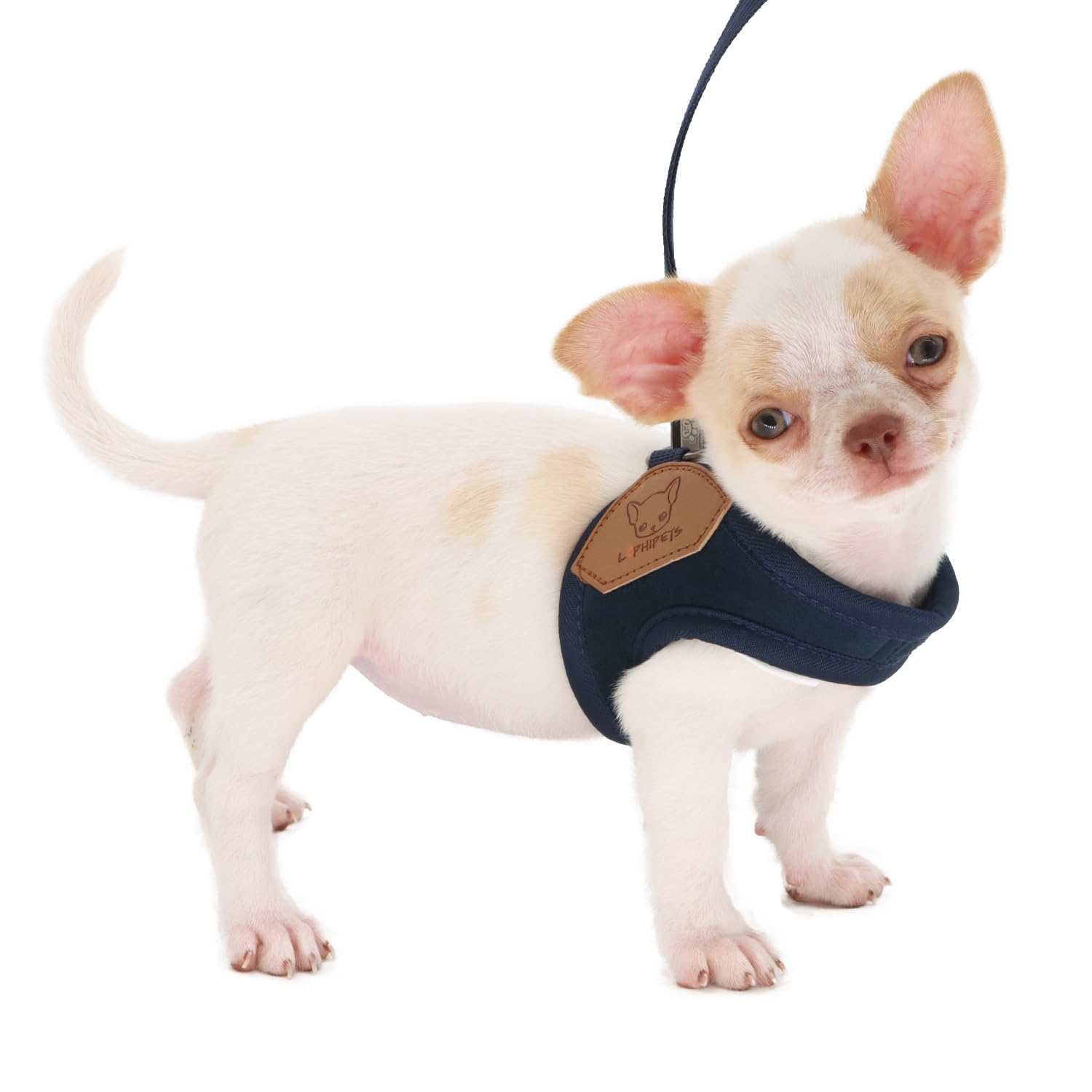 LOPHIPETS Lightweight Dog Harness with Leash Set for Small Dogs Chihuahua Yorkie Puppy Cat-Blue/XS