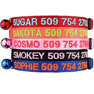 GoTags Personalized Cat Collars with Breakaway Safety Release Buckle, Custom Embroidered Cat Collar with Pet Name and Phone Number, Adjustable Nylon ID Collar with Bell for Cat or Kitten (Pack of 1)