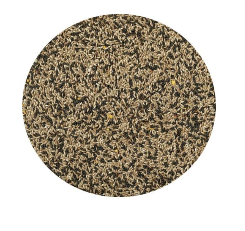 Canary Seed 1kg Mixed Canary Food Feed For Caged Canaries Aviary Canaries etc