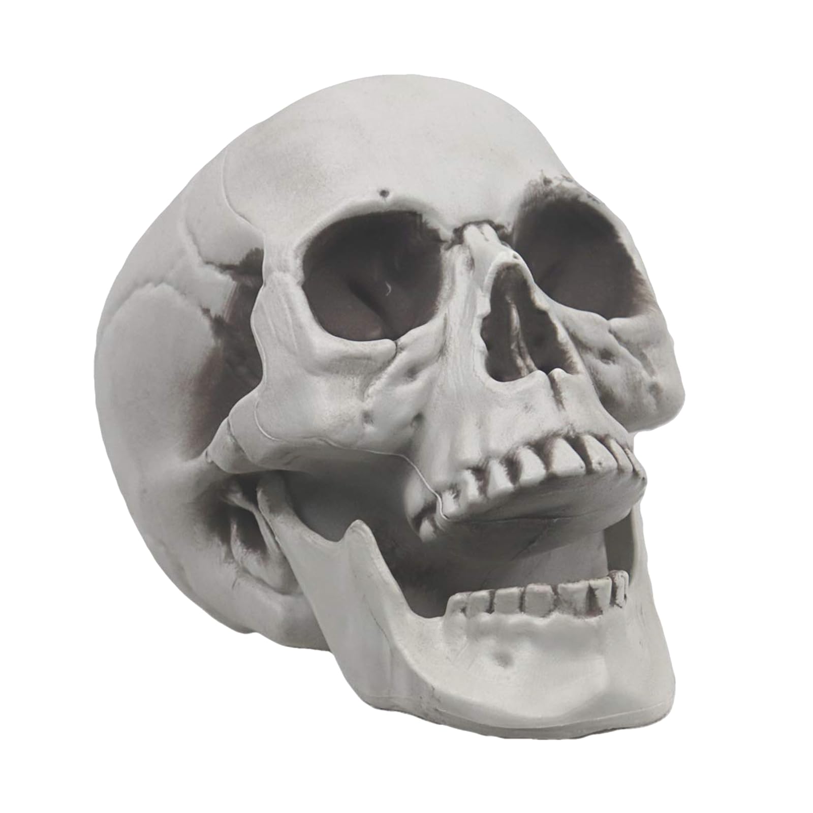 oydasHalloween Skeleton Decorations - Lifesize Human Skull Props for Graveyard, Outdoor, Bar, Party, Home Decor, Haunted House (M-1pcs)