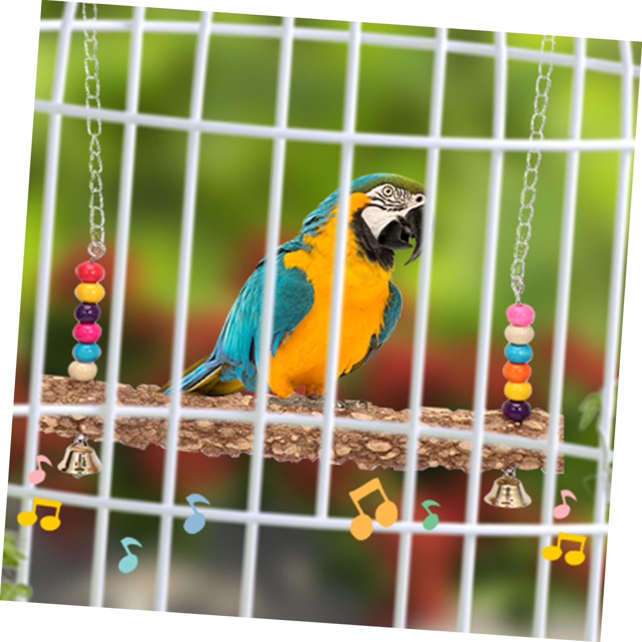 Sosoport 6pezzi Giocattoli Per Uccelli Legno Altalena Per Pappagalli e Galline Perch Pratico Per Esercizio e Divertimento Facile Da Installare Accessorio Per Gabbie Di Uccelli