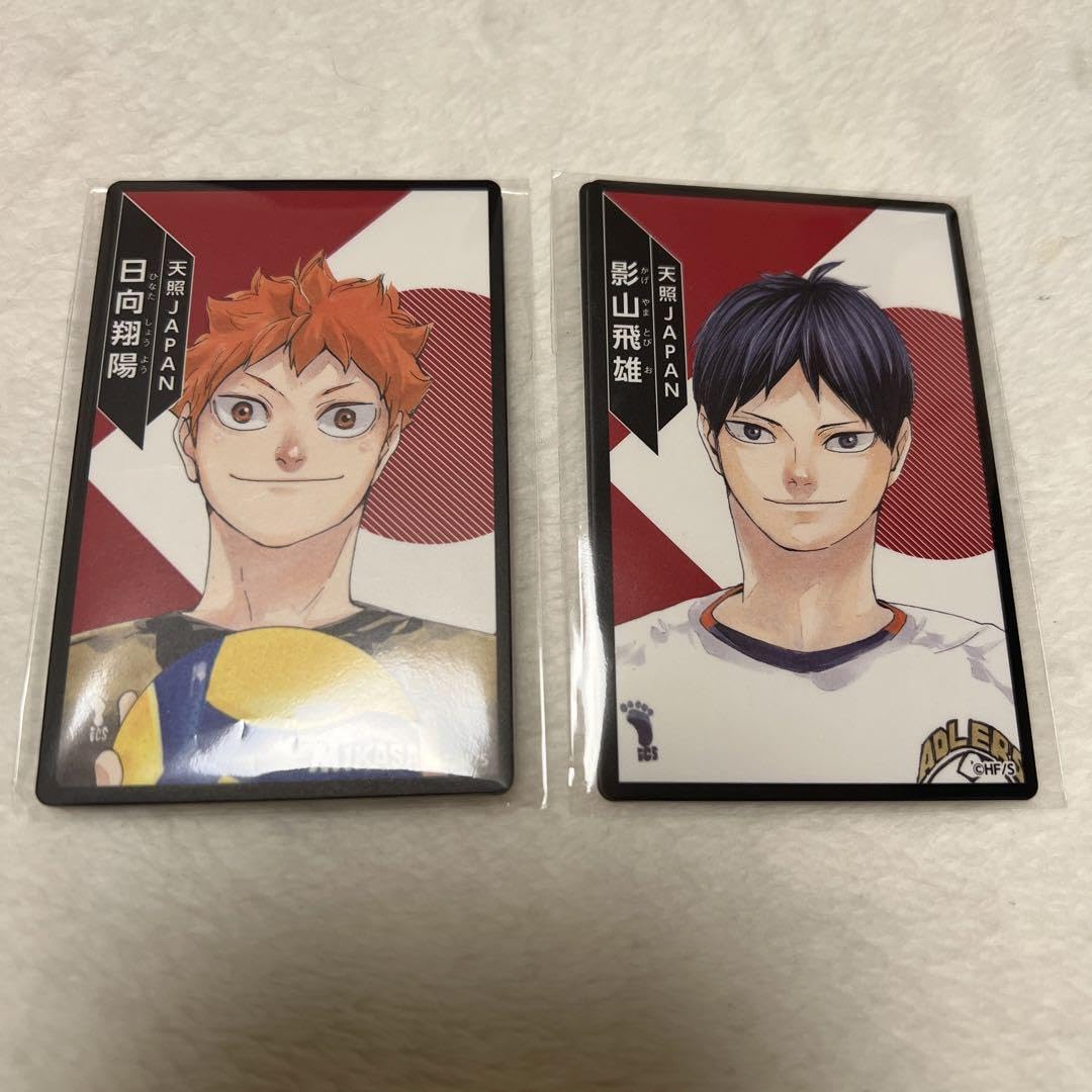 ハイキュー 日向翔陽 ボドゲ 特典