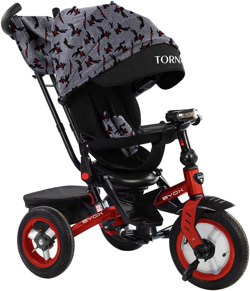 triciclo a spinta per i più piccoli