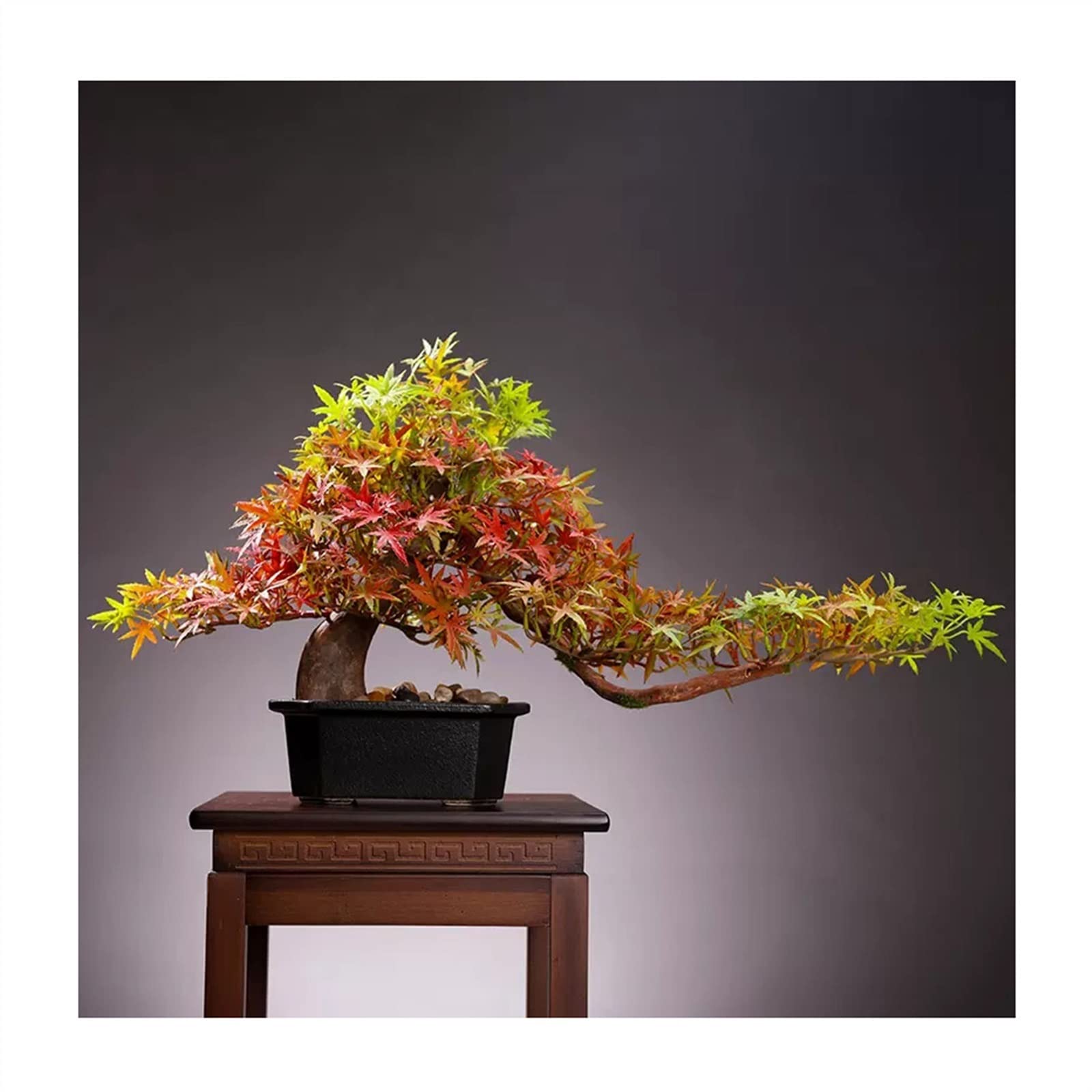 HCZKIUJY Artificial Bonsai Tree Artificial Bonsai Tree 23.6in Large Green Simulation Welcome Pine Bonsai Tree Living Room Office Desktop Simulation Bonsai Plant Fake Tree Fake Plant Decoration (B)
