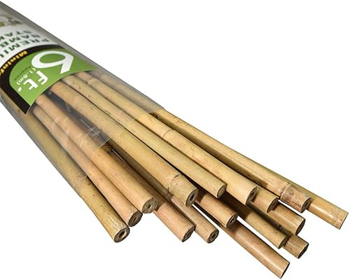 Mininfa Estacas de bambú natural de 6 pies, estacas ecológicas para jardín, estacas para plantas, soportes para escalada para tomates, árboles,