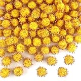 TOAOB THE ONE AND ONLY BABY