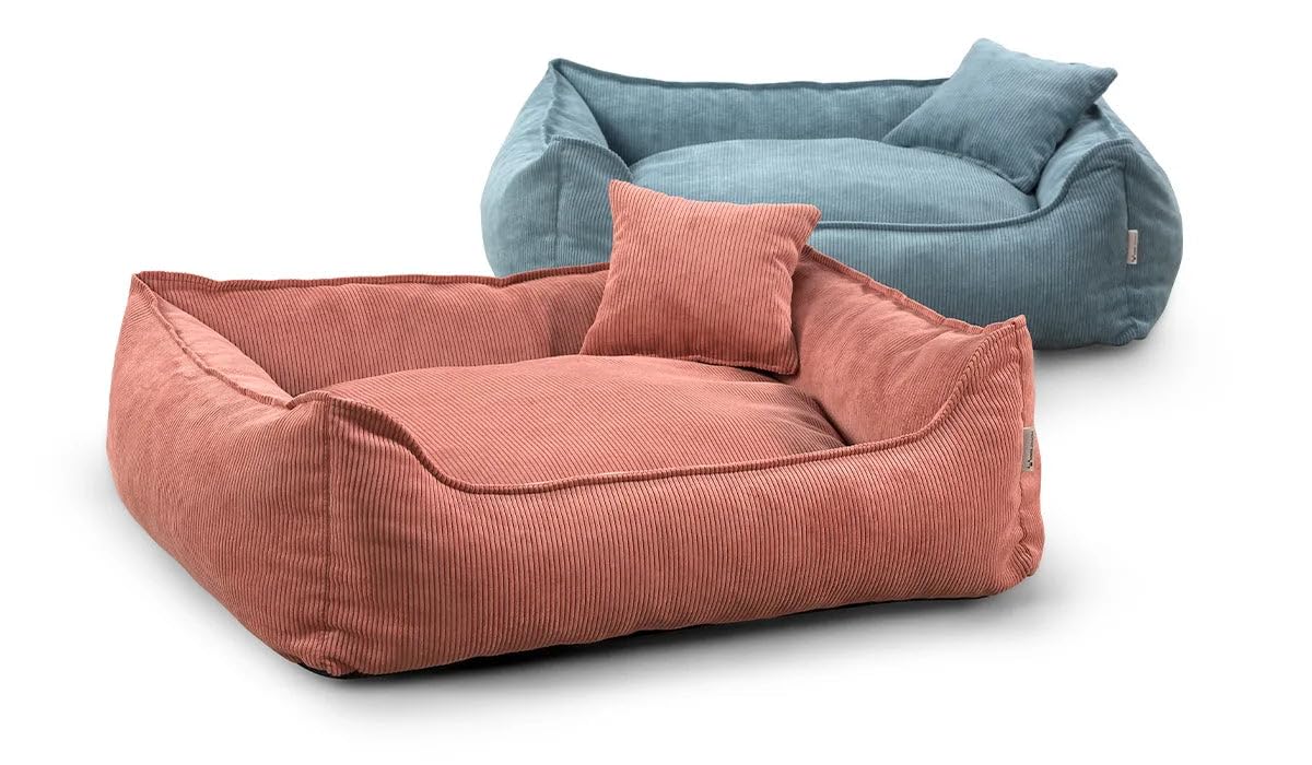 Gutekissen® Letto per Cani Lucky – Morbido Cuscino per Cani per Cani Piccoli e Grandi – Letto Lavabile per Animali Domestici con Imbottitura in Schiuma di Poliuretano e Rivestimento Rimovibile (Crema