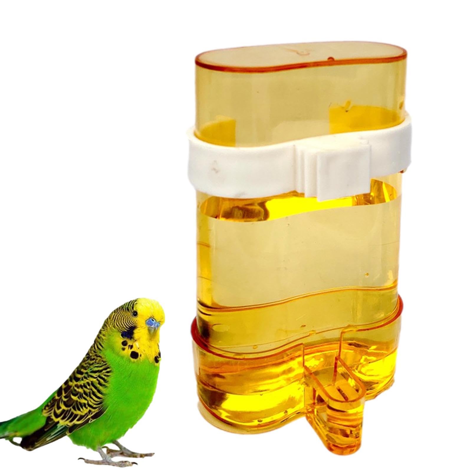 Distributore di Acqua per Uccelli, igienico, Trasparente, Automatico, 200 ml, per Pappagalli, Fringuelli, Calopsiti