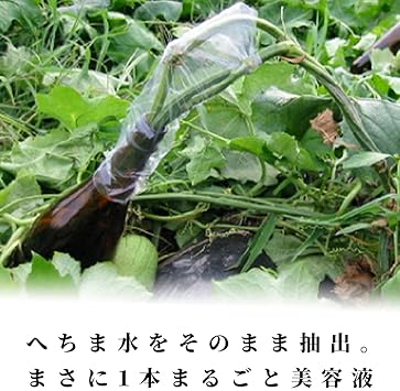 Amazon ネイチャーマジック アルガンヘチマローション 1ml 化粧水 アルガンオイル ヘチマ水 天然100 オーガニック 美容液 これは人生を変える化粧水です ネイチャーマジック 化粧水 通販