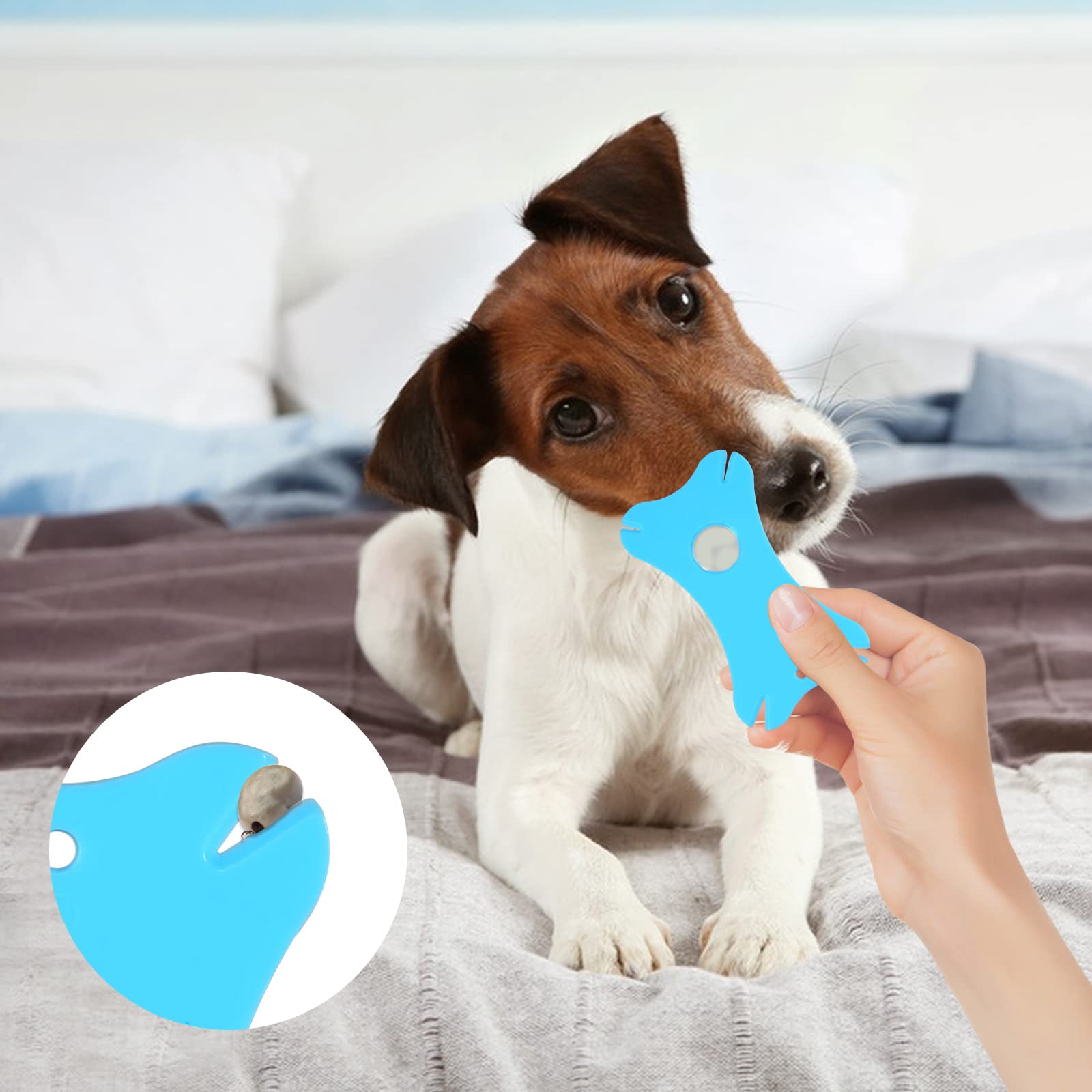 Zeckenkarte mit Lupe, 2 Stück Zeckenkarten für Zecken mit 2 Stück Edelstahl Zeckenzangen Zeckenkarte, Zeckenkarte für Menschen Hunde Katzen