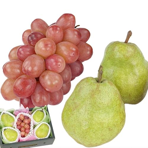 R`Y t[cZbg, EtX m 4 (300g/), VC}XJbg 1[ (450g), pϔ