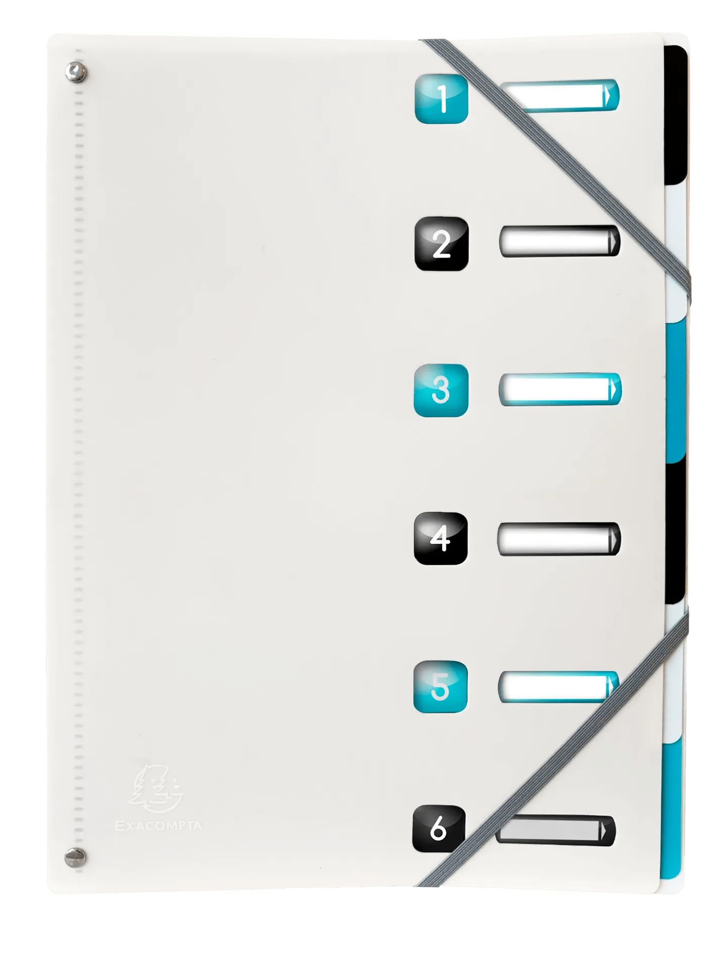 Exacompta - Ref. 56730E - Caja de 10 clasificadores, titanio, parte trasera extensible, con elásticos y ventanas recortadas, de PP reciclado, 6 compartimentos – 24 x 32 cm – A4-3 colores coco, negro y