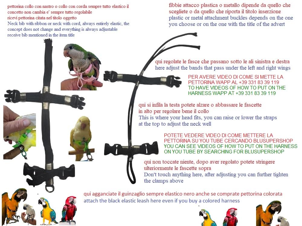 Pechera ajustable para loros, talla Buceo o cacatúa, elástico de 15 mm, 2 enganches de plástico o acero ajustables, cuello de 4 mm negro, correa de 4 mm negra PR (hebillas de metal)
