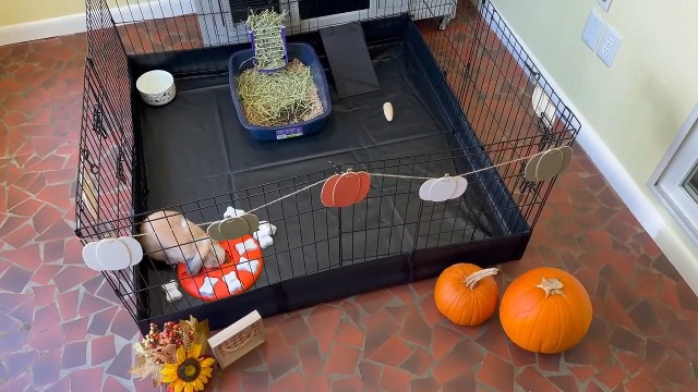 Amazon.com : GUTINNEEN Rabbit Pet Playpen Bunny Run Extension