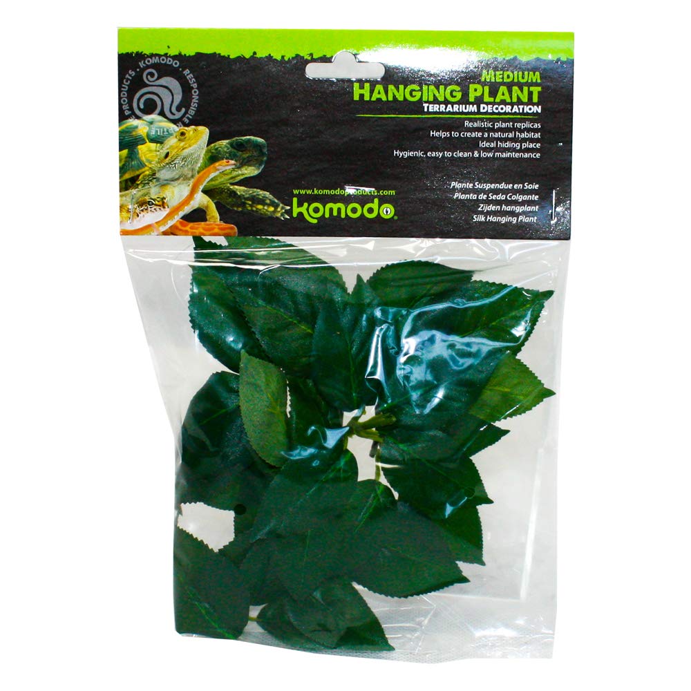 Komodo Philodendron Hanging Plant 30cm