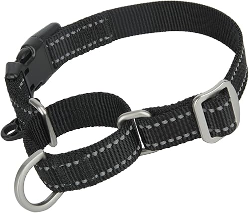 Petiry Martingale - Collar de perro con patrón de flamenco, collar de estrangulamiento con hebilla de liberación rápida de seguridad, a prueba de