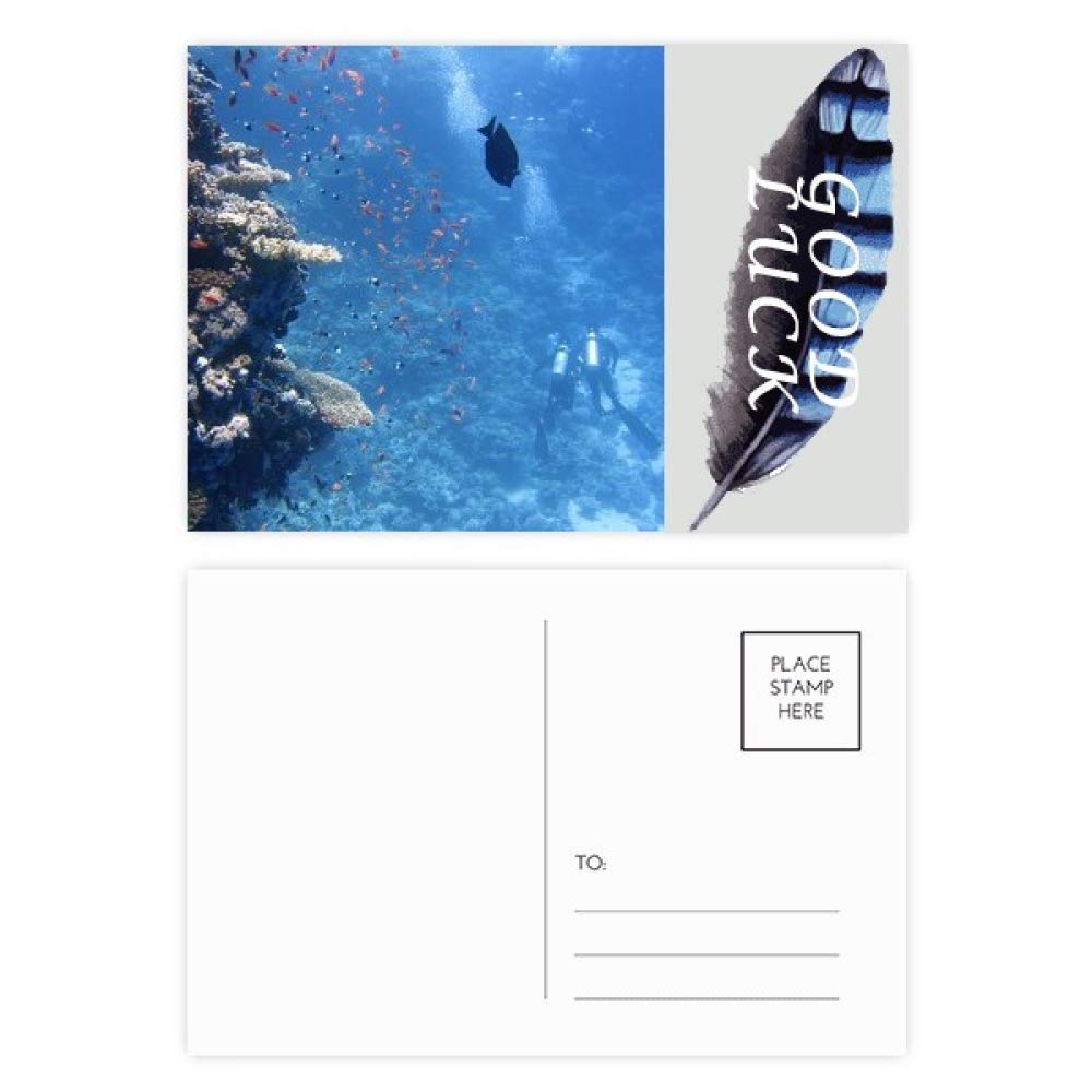 アンティーク ポストカード 勿忘草 四つ葉のクローバー 白い鳩 - ヴィンテージジュエリーとアンティーク雑貨のお店 Not Too Shabby 写真 葉 植物 写真 自然 幸運 羽 ポストカードセット サンキューカード 郵送側 20枚