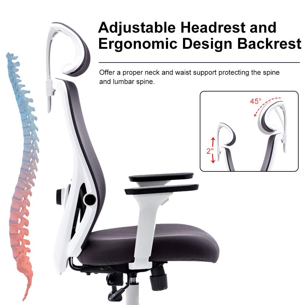 Bonzy Home Ergonomic Office Chair,High Back Mesh Computer Chair with