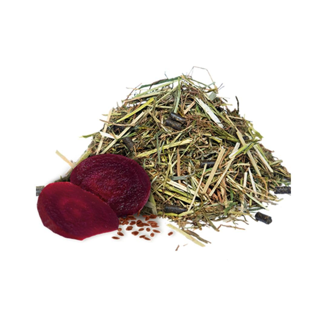 Hartog Complete Care Senior - Raufuttermix für Senioren-Pferdebesitzer, Geschmacklos, 155.5 kg