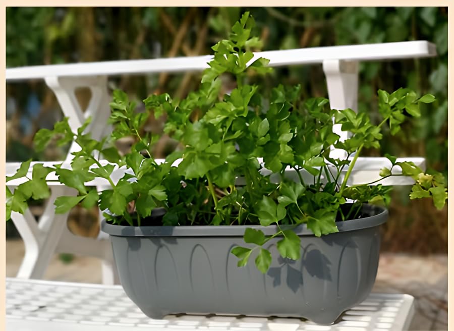 Image of Plastic Rectangle Round Corner Flower Pots with Drainage Hole Saucers Durable Outdoor Indoor Planters with Tray Plant Containers for Balcony, Garden, Home & Office (Grey, 5)