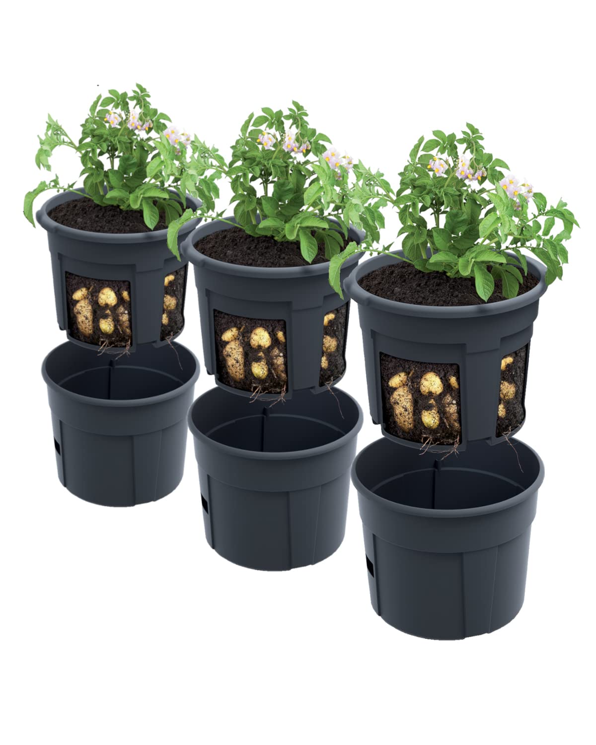 PAFEN 3 x Potato Growing Plant Pot - 295 x 235 mm - Potato Plant Pot