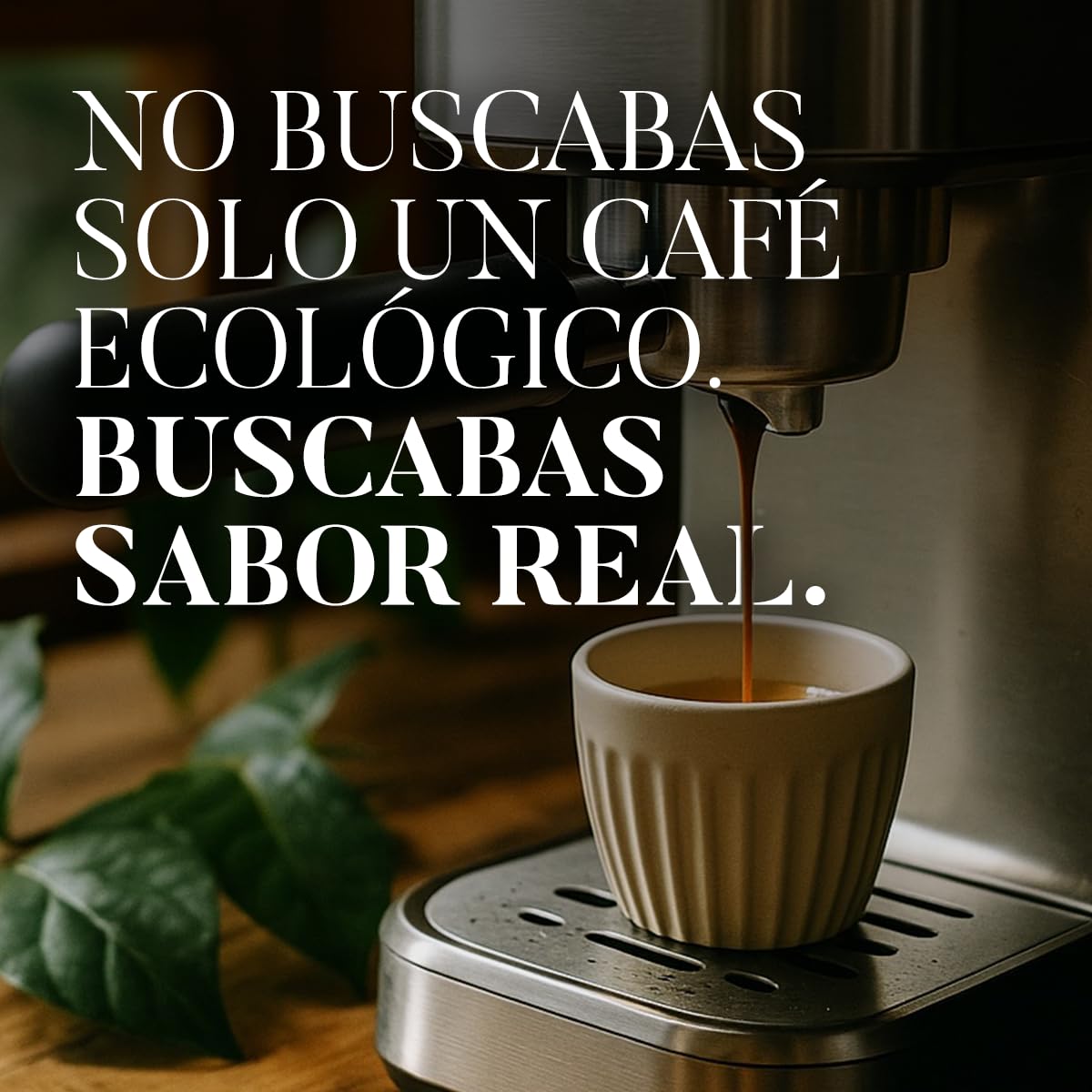Café BOU - Molido Ecológico Certificado Para Espresso | 3x250g | Aroma caramelo y fruta, cuerpo medio