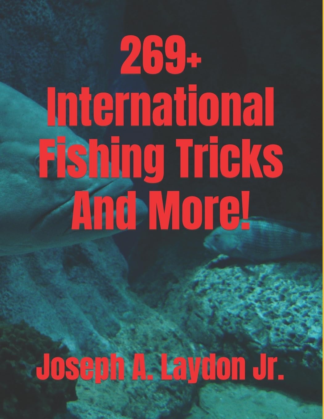 269+ International Fishing Tricks And More!