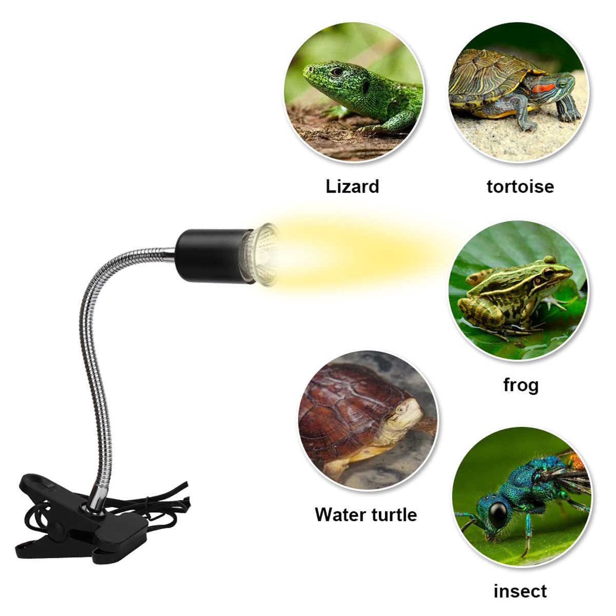 爬虫類ライトセット Amazon.co.jp: ANJOJOA 爬虫類 紫外線ライト LED UVA UVB フック